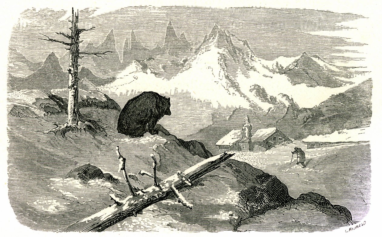 Incisione di Gustave Doré che illustra il libro "Voyage aux Pyrénées" di Hippolyte Taine, Hachette 1860. Orso che osserva un uomo dirigersi verso la sua casa in montagna. da Gustave Dore