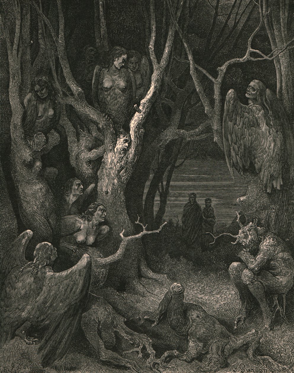 Qui le brutali Arpie fanno il loro nido da Gustave Dore