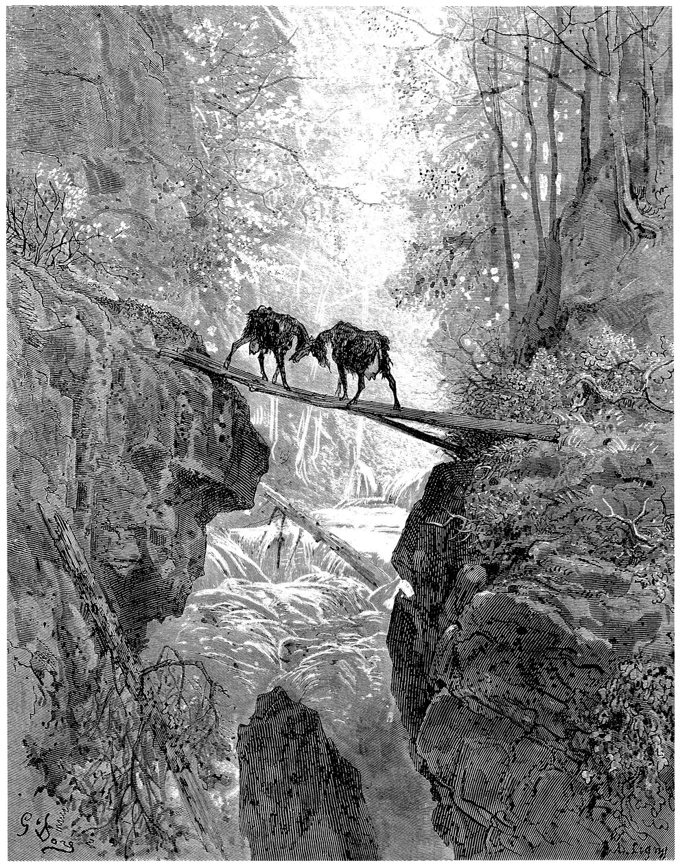 Le due capre: favola di Jean de La Fontaine illustrata da Gustave Doré - foresta, ruscello da Gustave Dore
