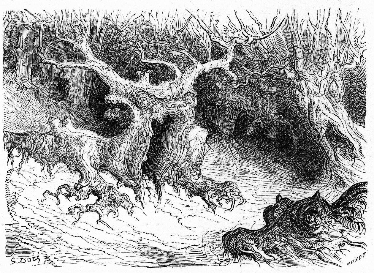 Faggio mostruoso nella Valle di Ossau, alberi mostruosi antropomorfi. Incisione di Gustave Doré che illustra il libro 