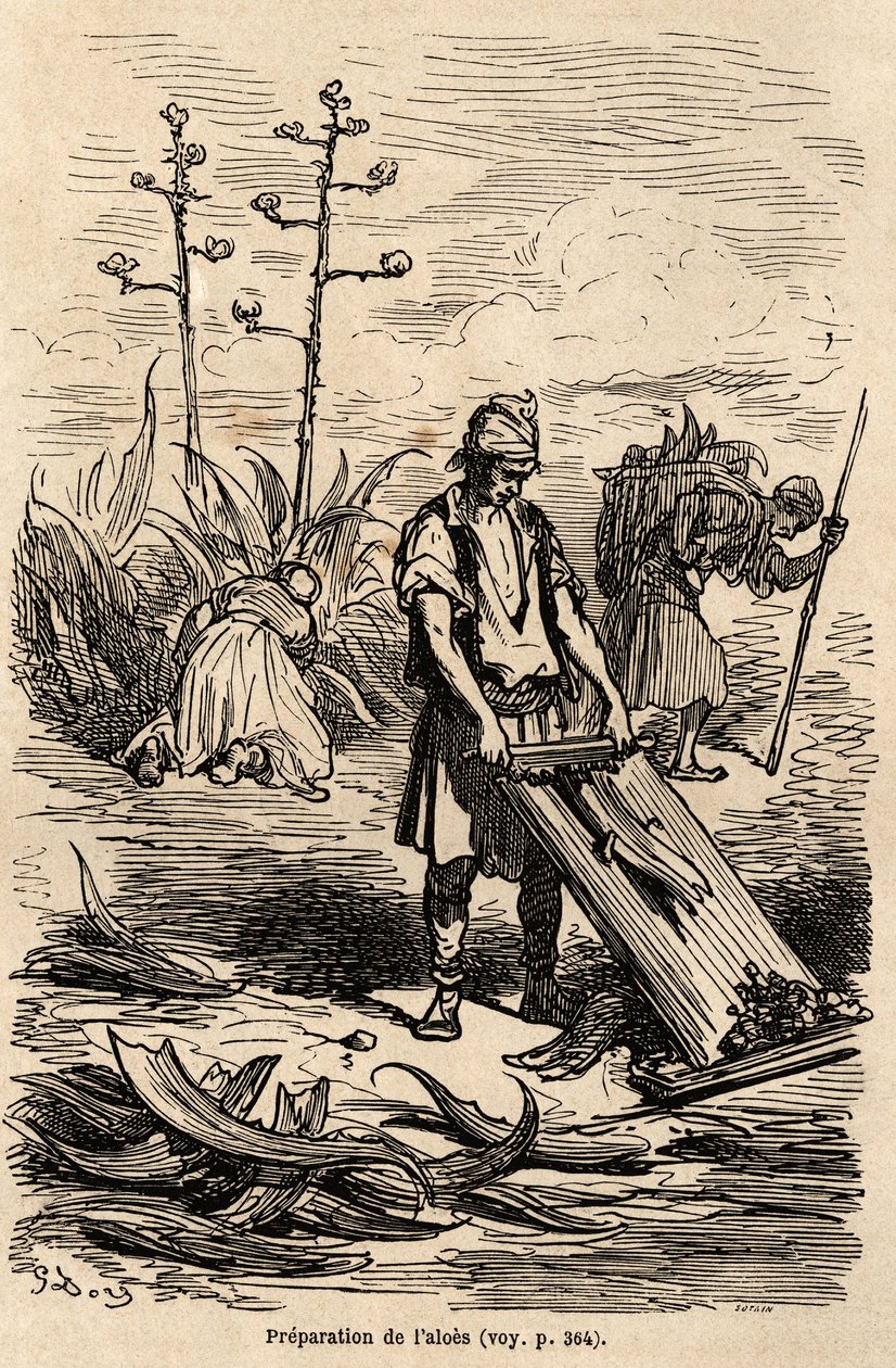 Preparazione dell