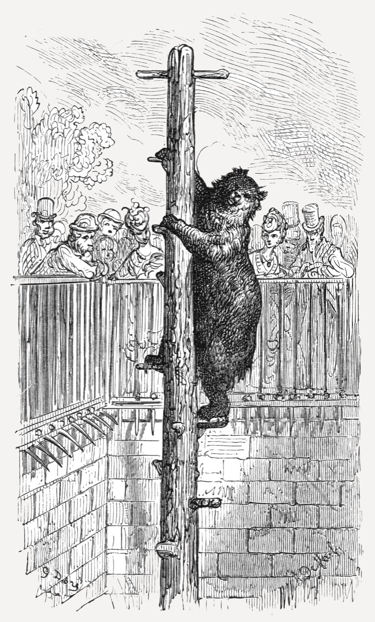 La Fossa degli Orsi - Giardini Zoologici da Gustave Dore