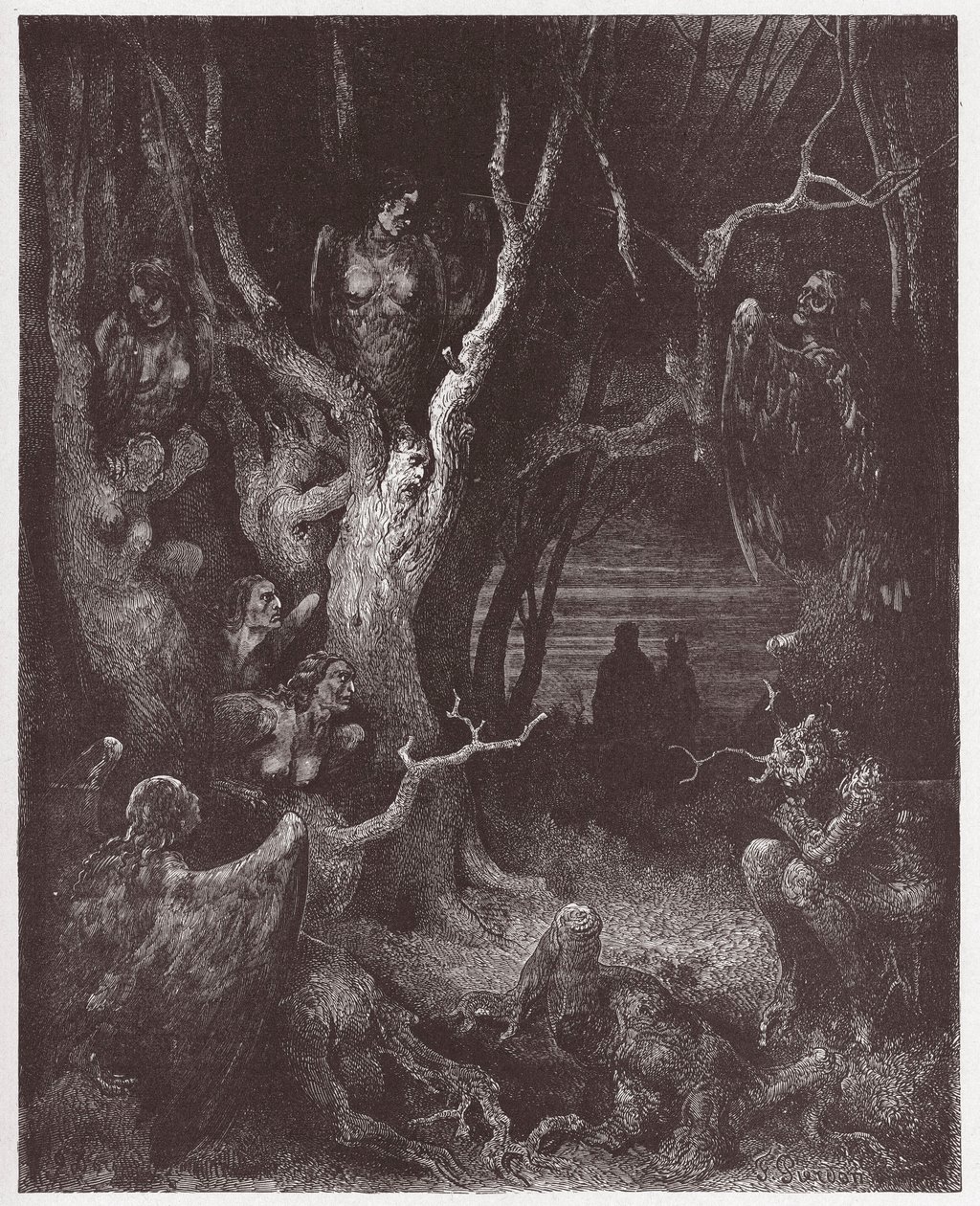 La Divina Commedia, Inferno, Canto 13: Le Arpie nella foresta dei suicidi - di Dante Alighieri (1265-1321) - Illustrazione di Gustave Doré (1832-1883) da Gustave Dore