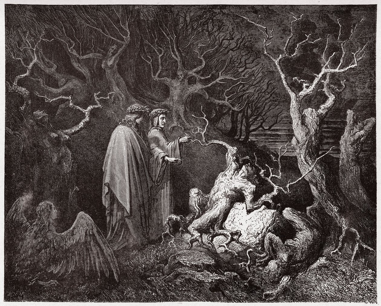La Divina Commedia, Inferno, Canto 13: I suicidi nella foresta - di Dante Alighieri (1265-1321) - Illustrazione di Gustave Doré (1832-1883) da Gustave Dore