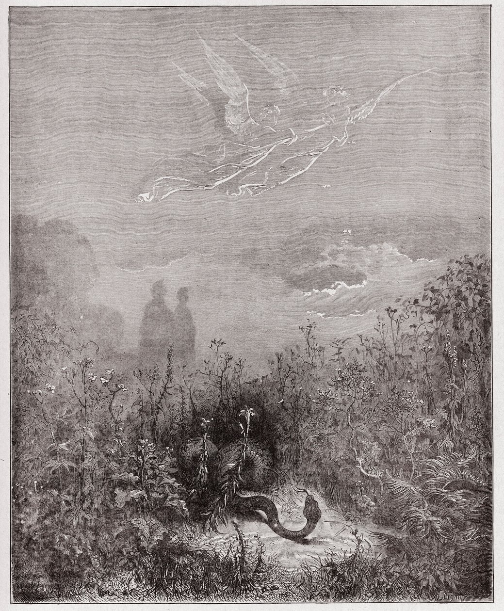 La Divina Commedia, Purgatorio, Canto 8: Gli angeli scacciano il serpente - di Dante Alighieri (1265-1321) - Illustrazione di Gustave Doré (1832-1883). da Gustave Dore