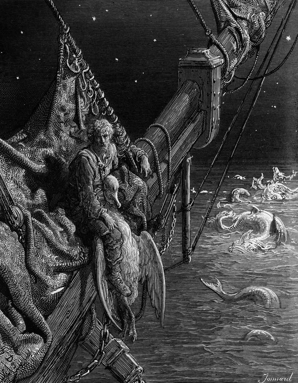 Il marinaio osserva i serpenti nell