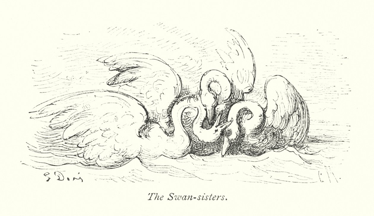 Le sorelle del cigno (incisione) da Gustave Dore