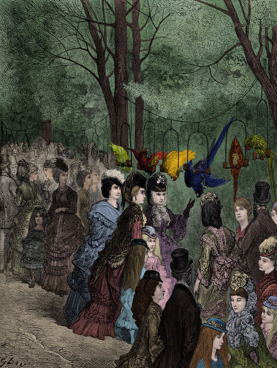 Passeggiata dei pappagalli in uno zoo vittoriano di Londra da Gustave Dore