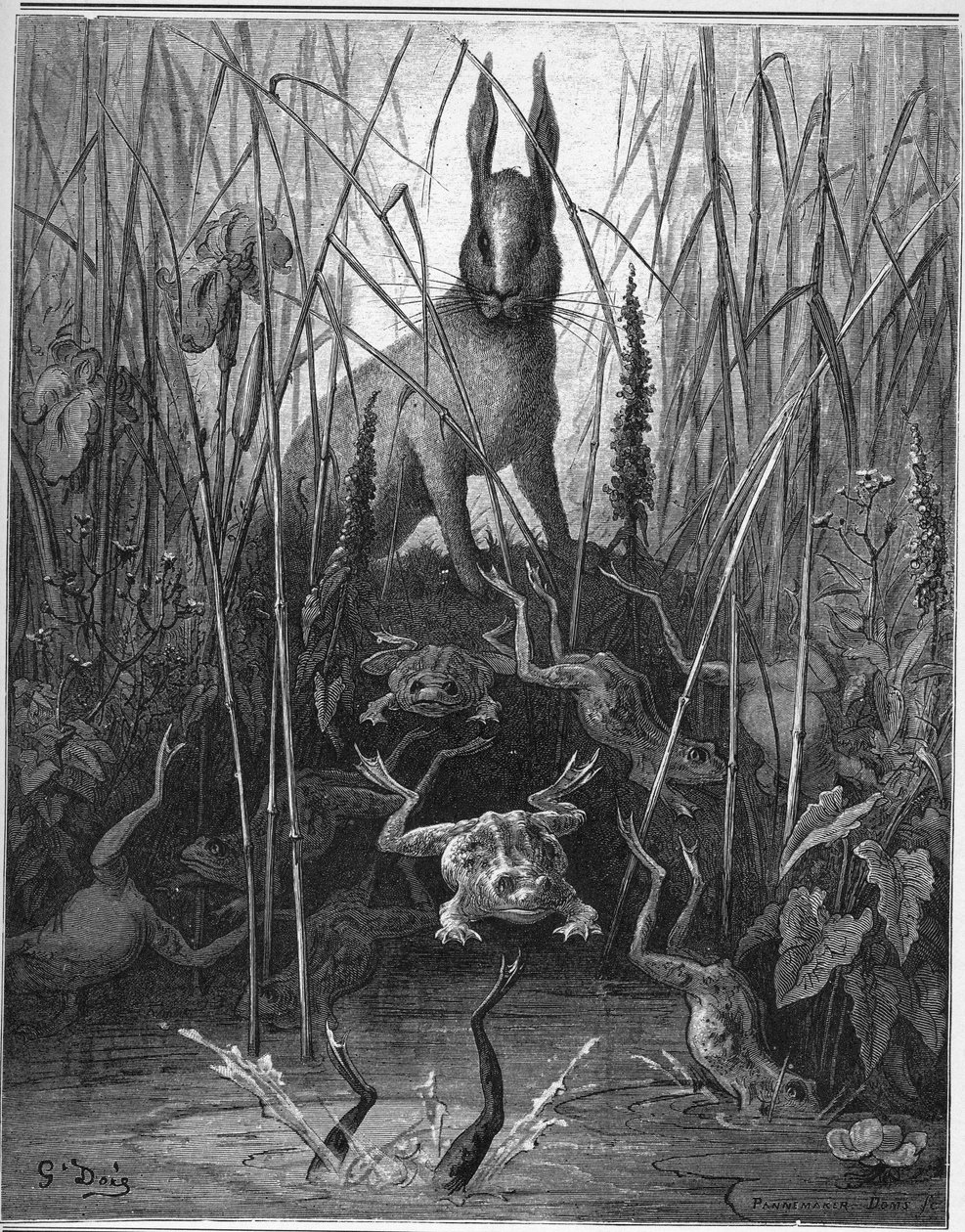 La lepre e la rana - da "Favole" di Jean de La Fontaine da Gustave Dore