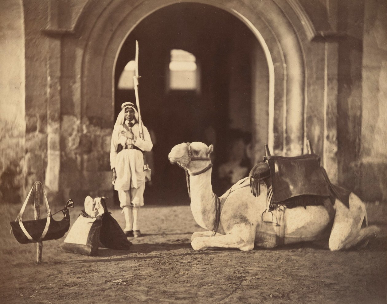 Cammello sdraiato, c.1866 da Gustave Le Gray