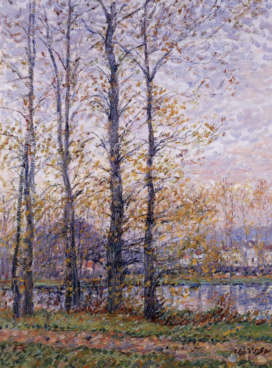 Le Rive dell