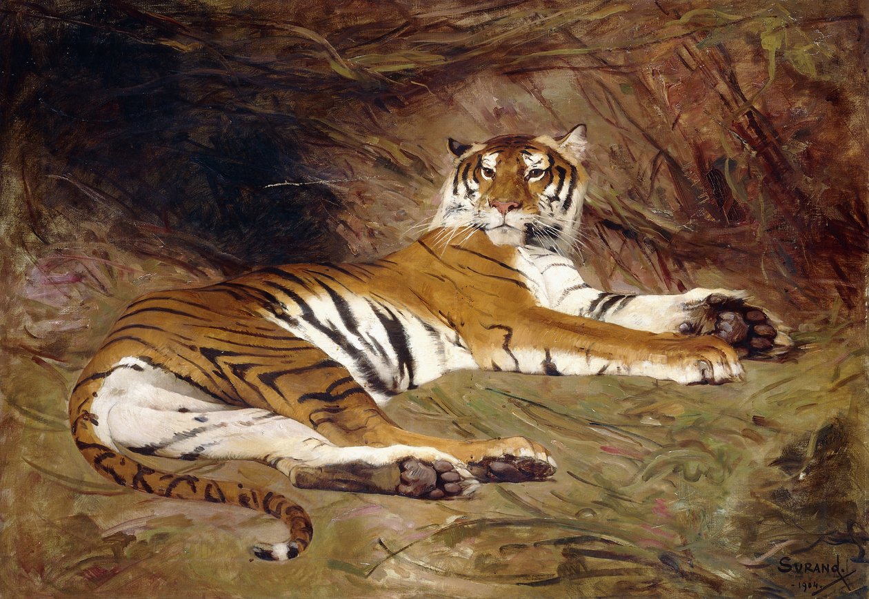 Una tigre sdraiata da Gustave Surand