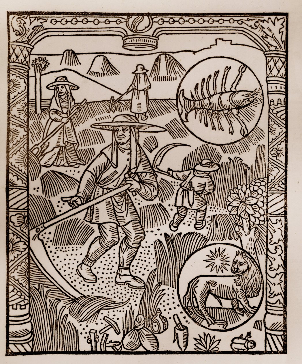 Calendario del pastore - I lavori dei mesi - Luglio - Xilografia dal libro del 1496 stampato da Guy Marchant (Guido Mercator) a Troyes - Fieno, la raccolta del fieno - Incisione su legno in 
