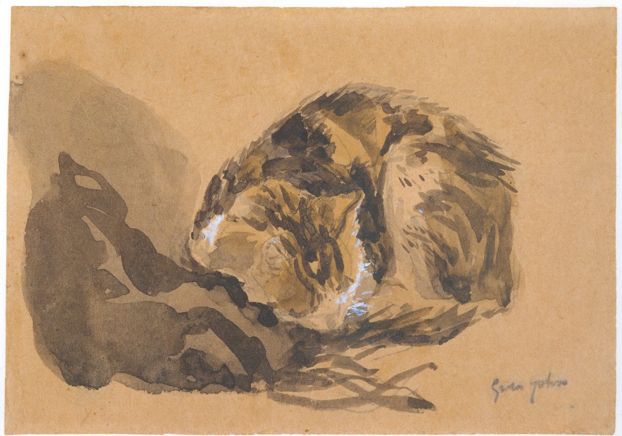 Studio di un gatto, 1905-08 da Gwen John