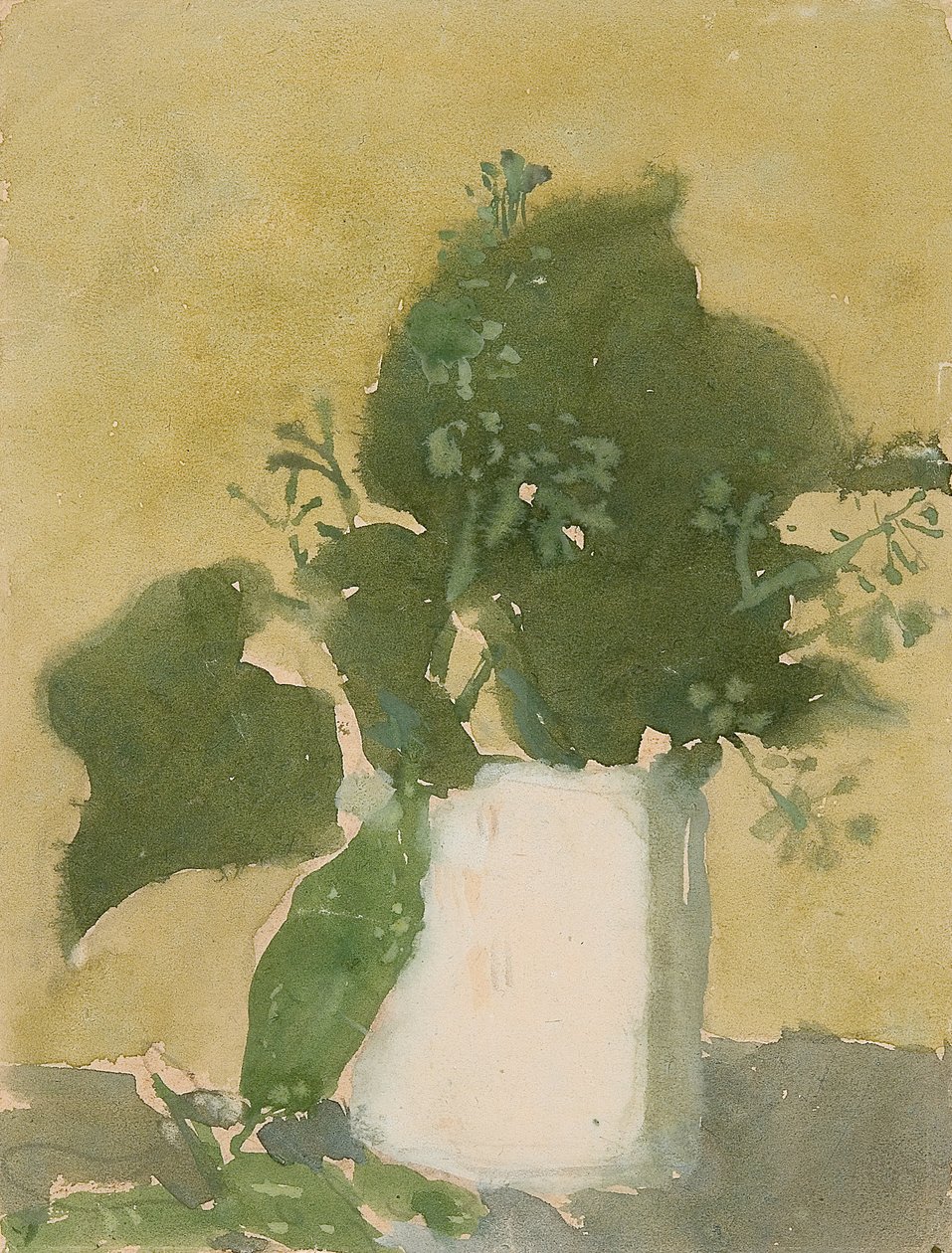 Foglie verdi in una brocca bianca da Gwen John