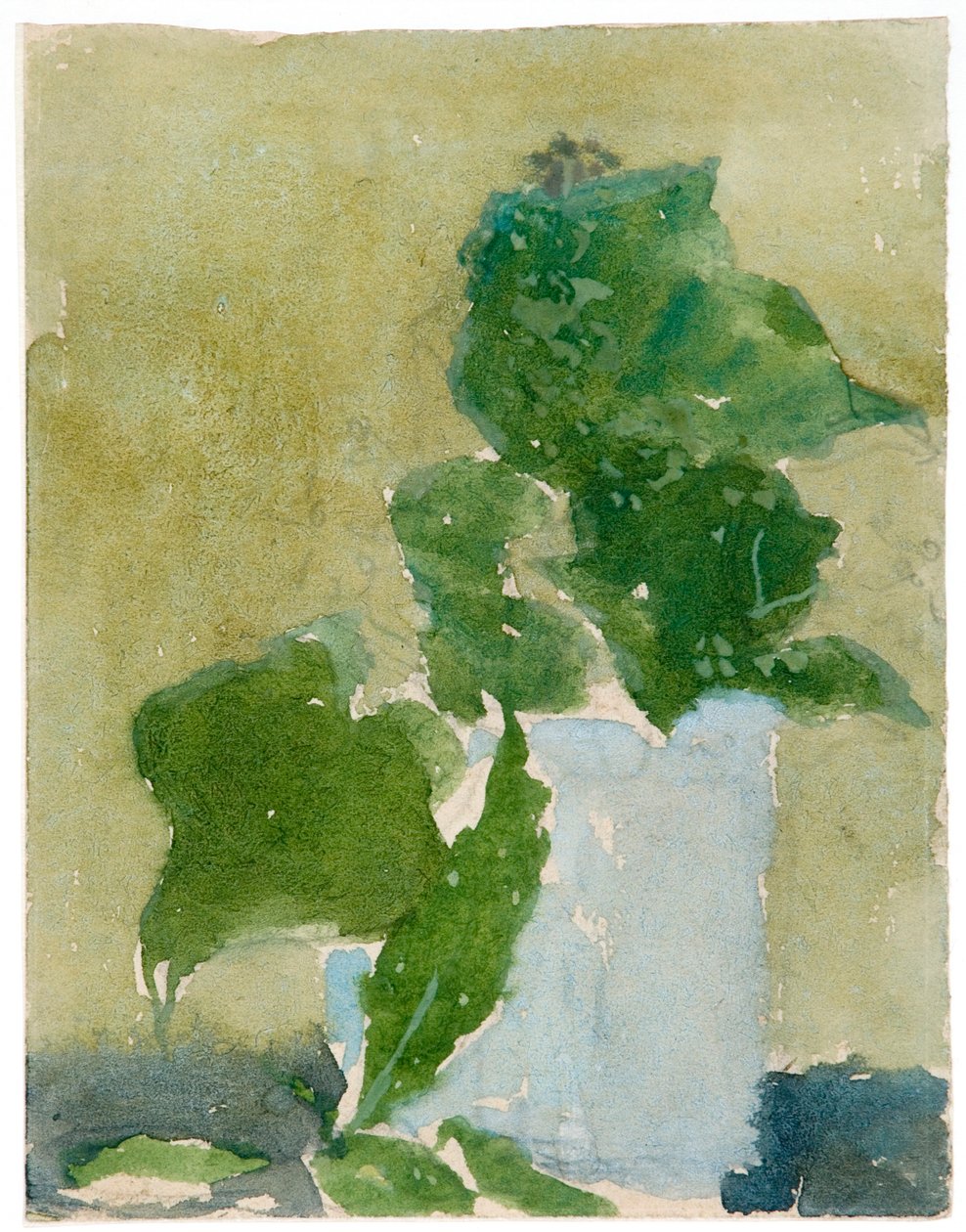 Mughetto in brocca, 1896-1939 da Gwendolen Mary John