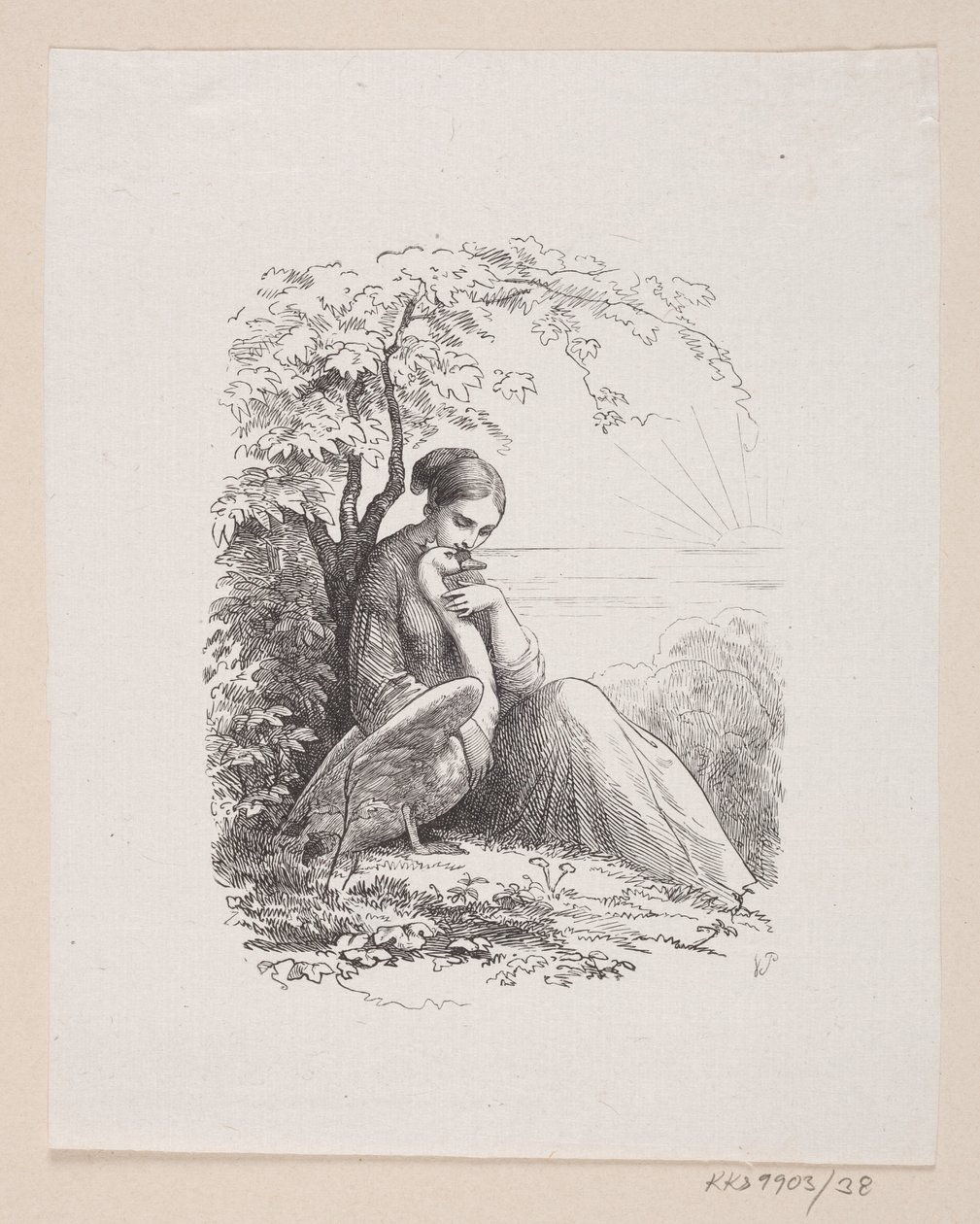 Illustrazione per "I cigni selvatici" in H.C. Andersen, "Fiabe e storie", Volume 1 da H.P. Hansen