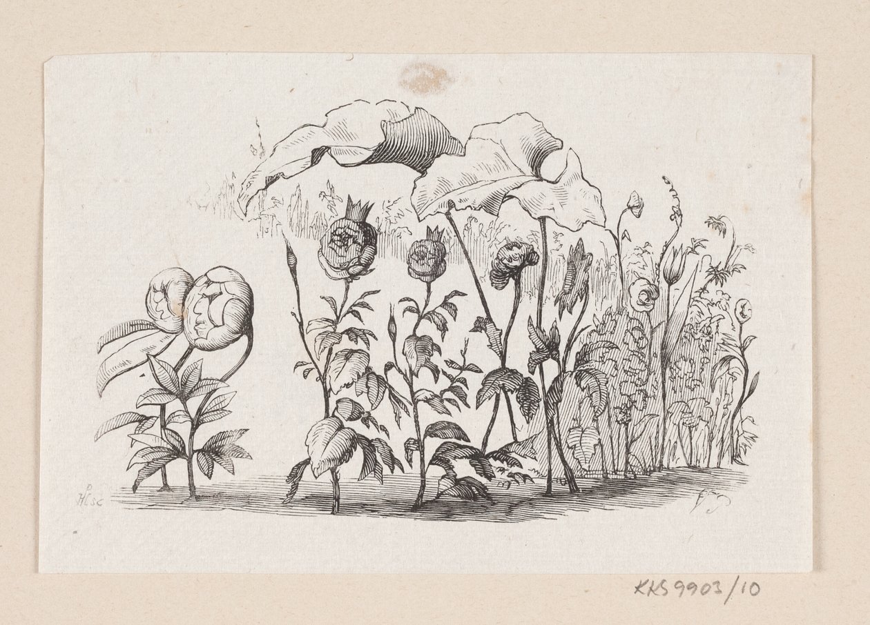 Illustrazione per "I fiori della piccola Ida" in H.C. Andersen, "Fiabe e storie", Volume 1 da H.P. Hansen