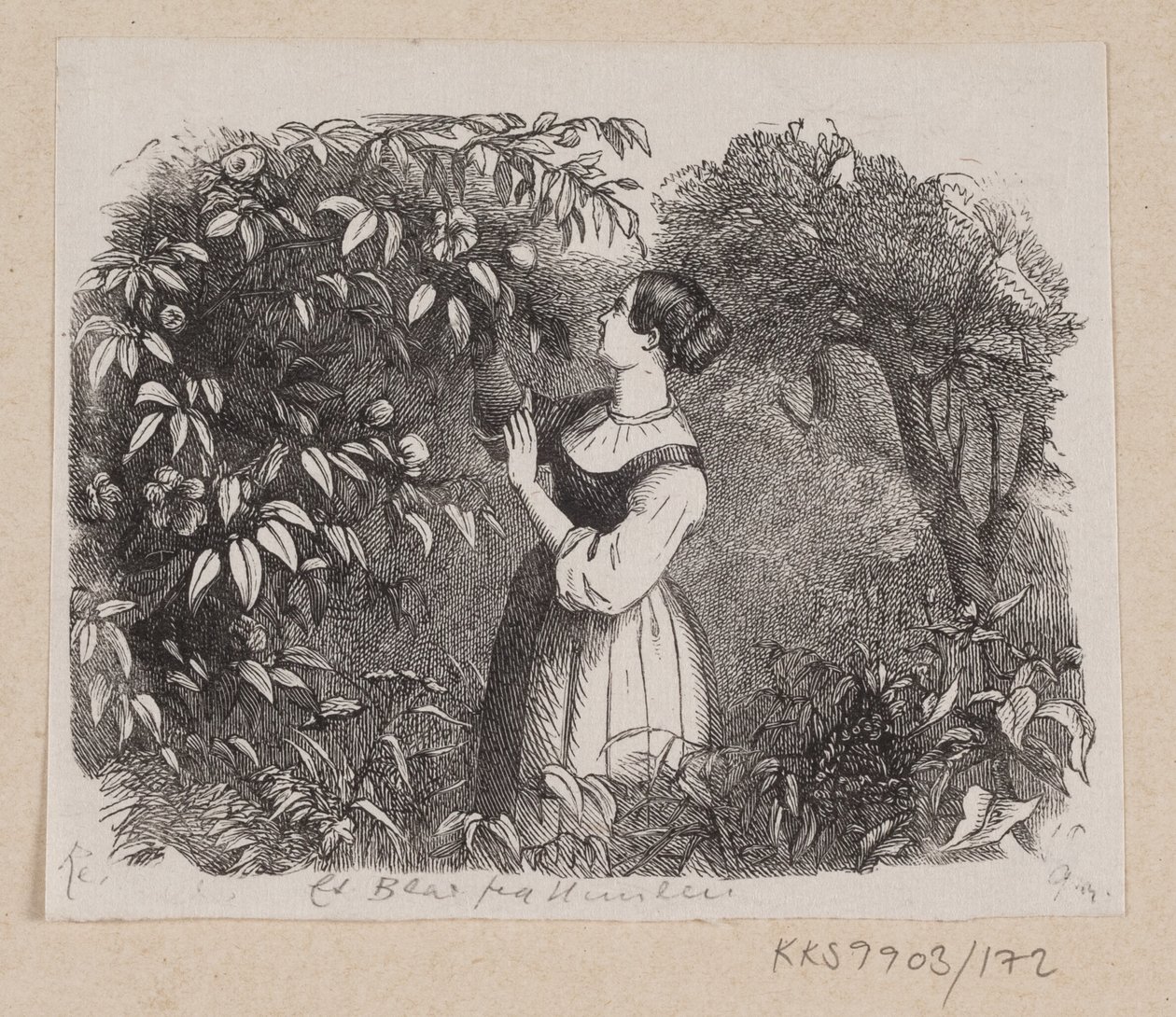 Illustrazione per "Una foglia dal cielo" in H.C. Andersen, "Fiabe e Storie", Volume 2 da H.P. Hansen