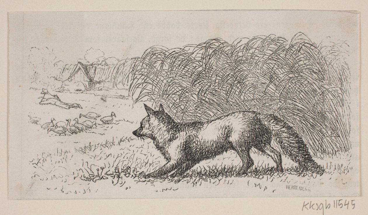 Illustrazione per: "Hr. Mikkel" da H. C. Henneberg