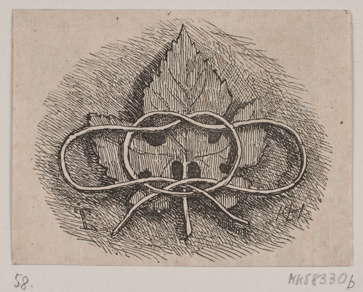 Avvolgimento del filo su una foglia da H. C. Henneberg