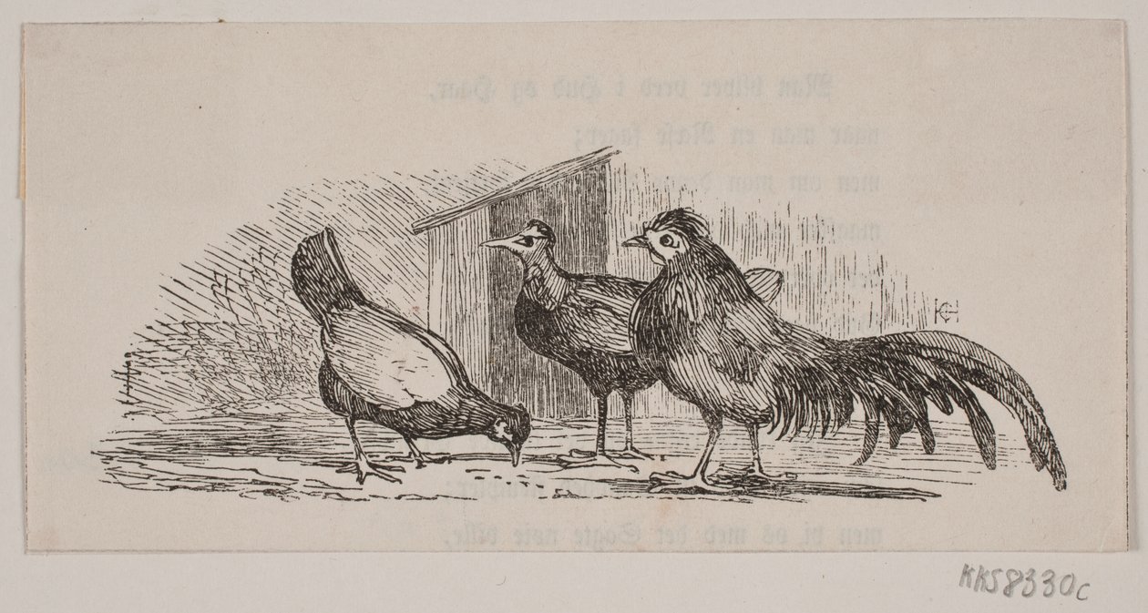 Tre galline da H. C. Henneberg