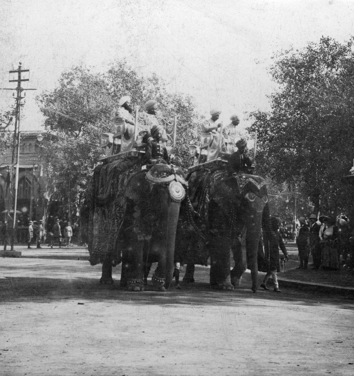 Una principessa punjabi su un elefante in una processione, Delhi, India, anni 1900 da H. Hands and Son