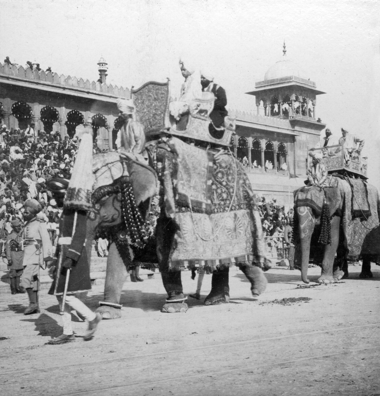 Processione di elefanti che passa davanti alla Moschea Jumma, Delhi, India, 1900 da H. Hands and Son