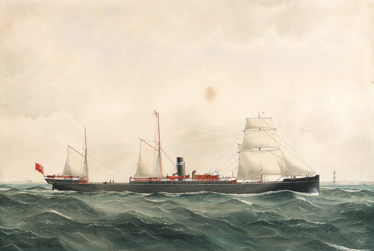 Nave a vapore 