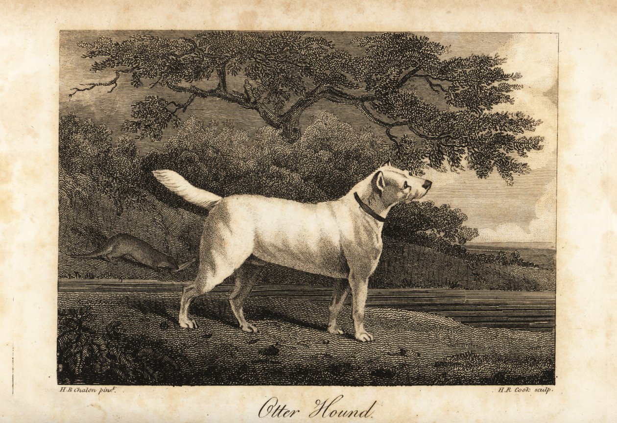 Ritratto dell