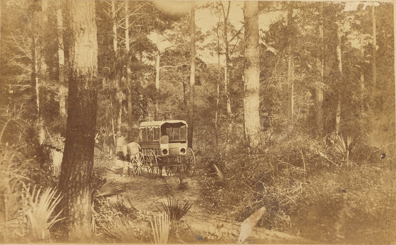 Scena a Folly Island da Haas and Peale