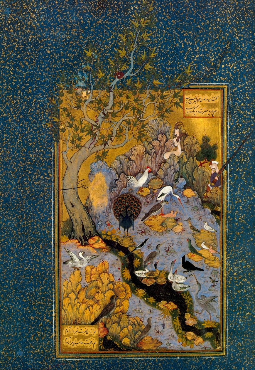 Folio da Mantiq al-Tayr La lingua degli uccelli, di Attar, c1600 da Habib Allah