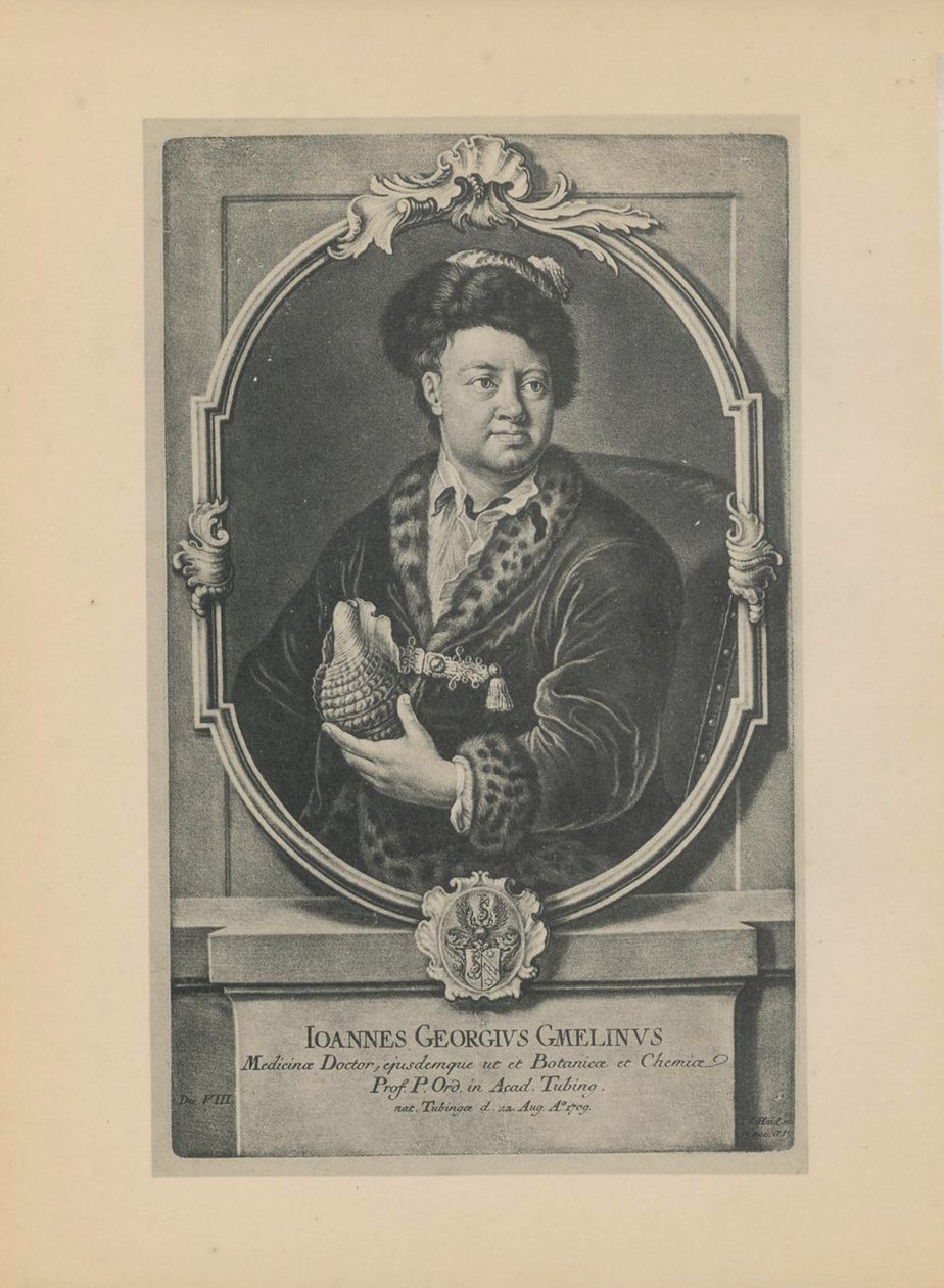 Ritratto del naturalista, botanico e geografo Johann Georg Gmelin 1709-1755, metà del XVIII secolo da Haid