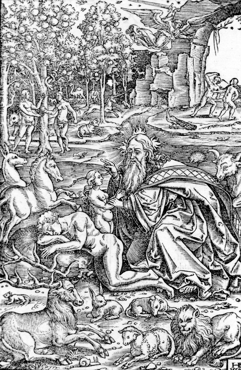 La Creazione di Eva, dalla Bibbia di Lutero, 1550 da Hans Brosamer