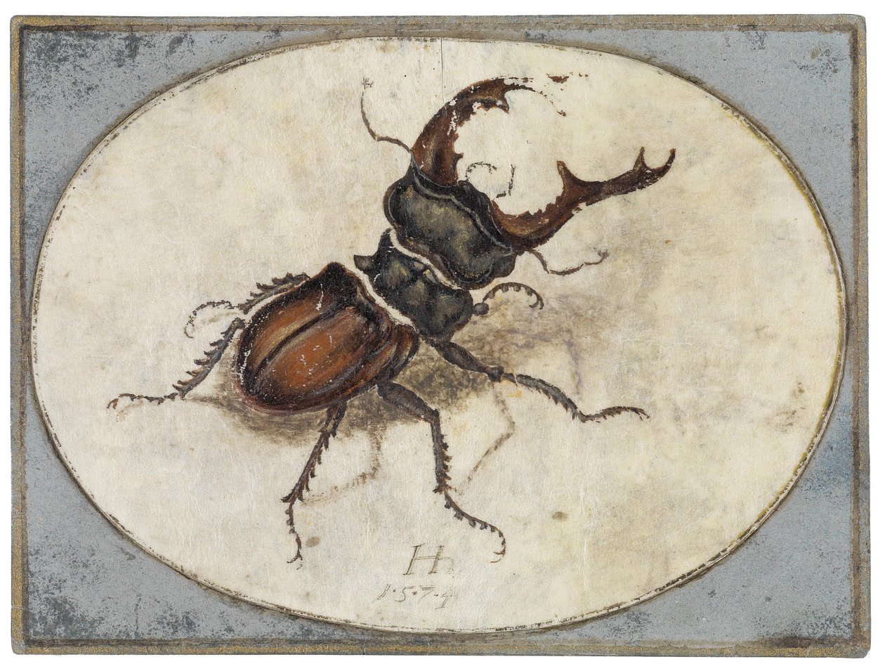Cervo volante (dopo Albrecht Dürer) da Hans Hoffmann