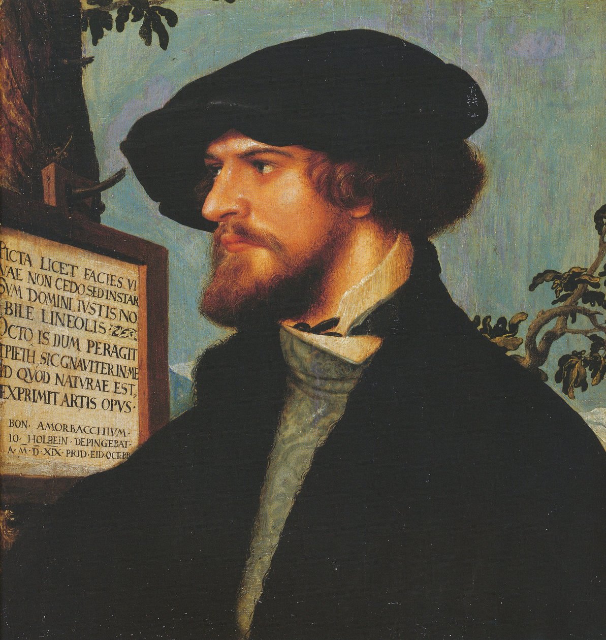 Ritratto di Bonifacius Amerbach da Hans Holbein
