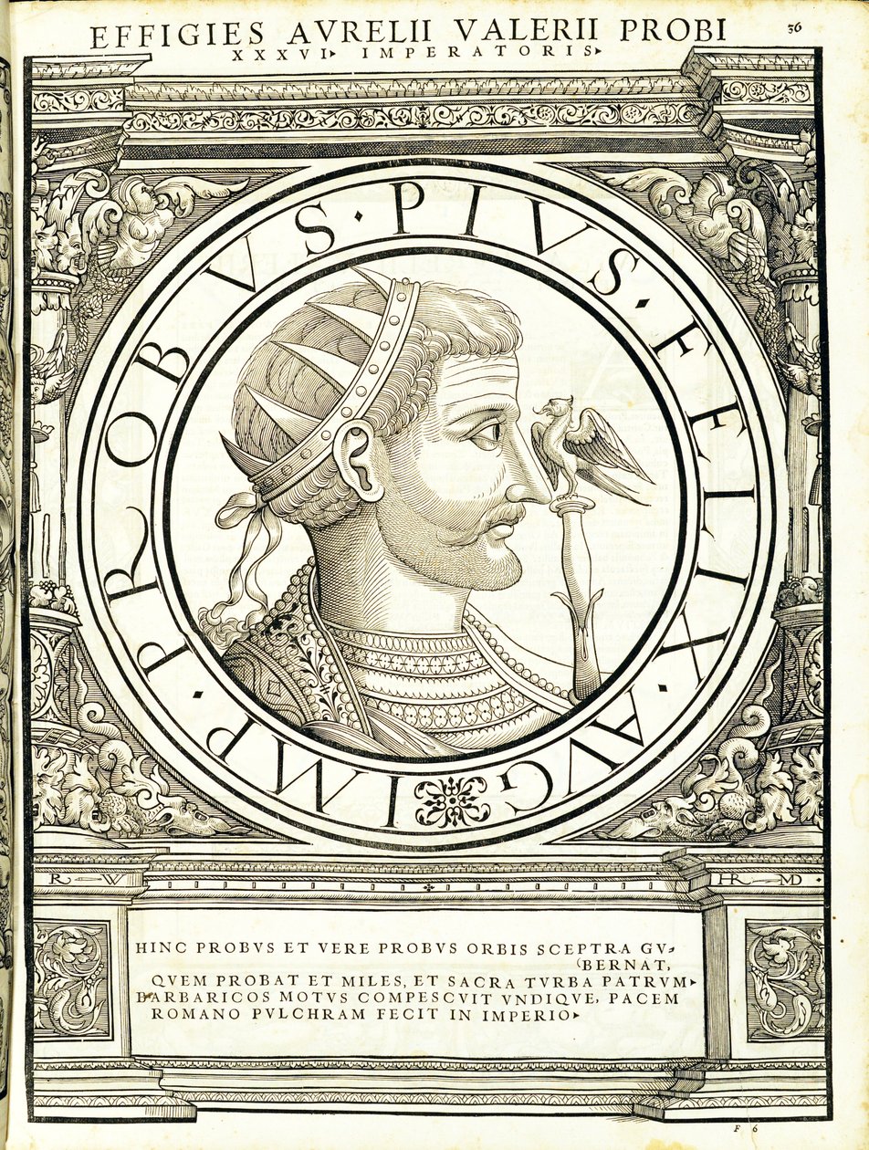 Probo, illustrazione da 