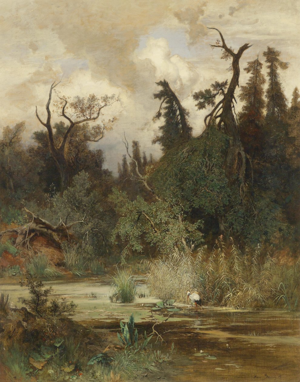 Estate nella foresta alluvionale da Hans Schühly