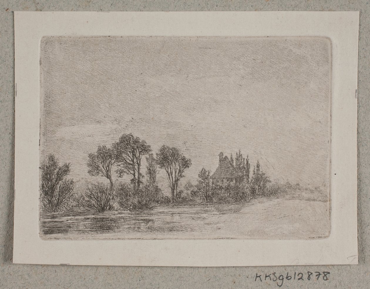 Paesaggio con alberi vicino a un