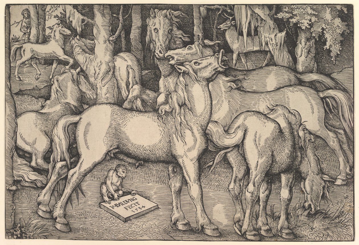 Gruppo di sette cavalli, 1534 da Hans Baldung