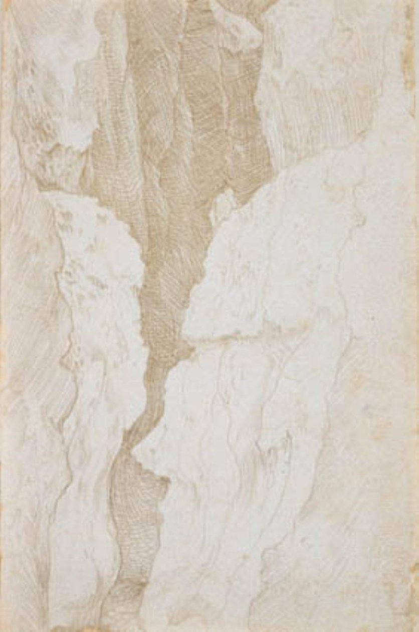 Una gola profonda con un torrente impetuoso sul fondo da Hans Baldung Grien