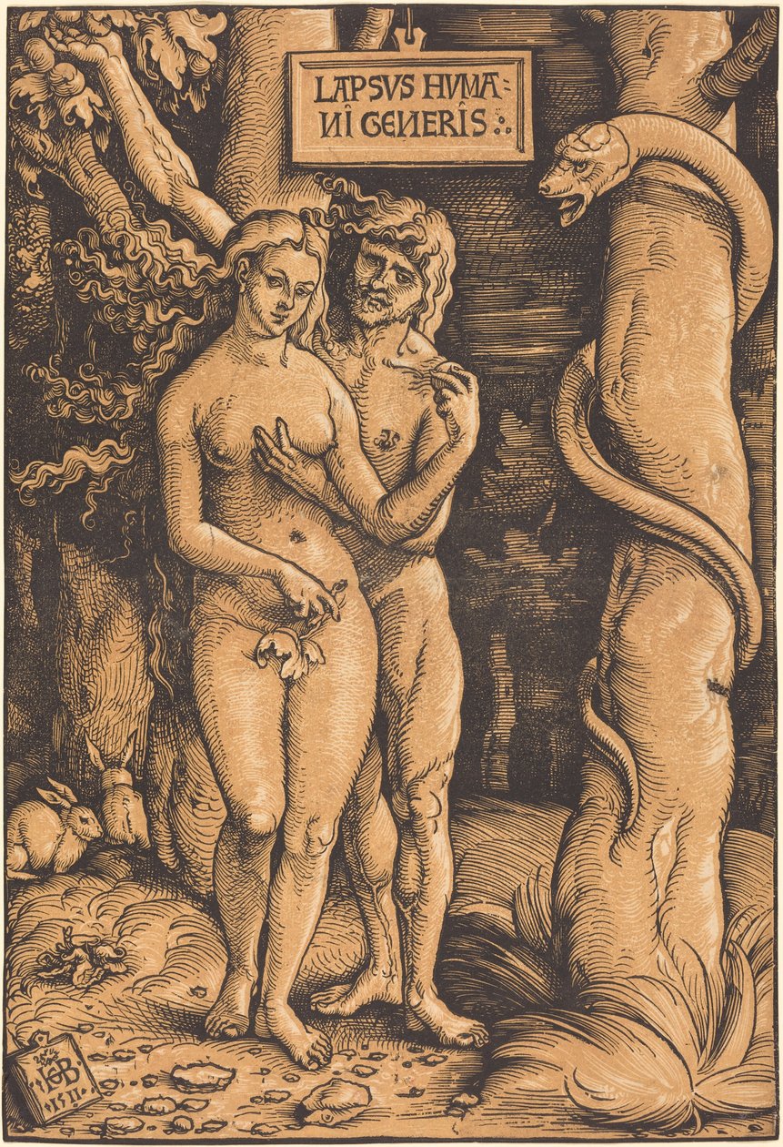 Adamo ed Eva da Hans Baldung Grien