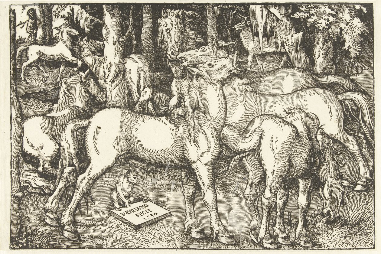 Gruppo di sette cavalli e una scimmia da Hans Baldung Grien