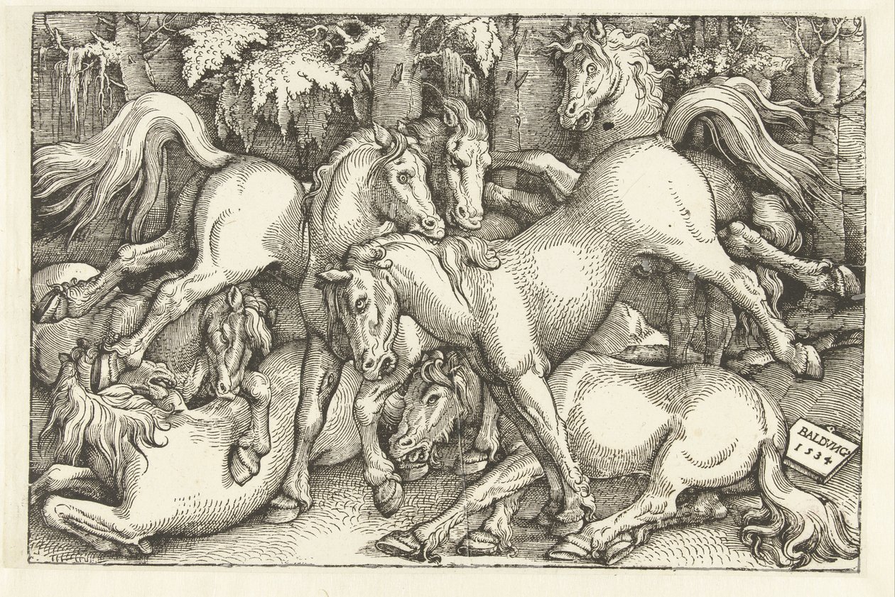 Gruppo di sette cavalli in lotta da Hans Baldung Grien