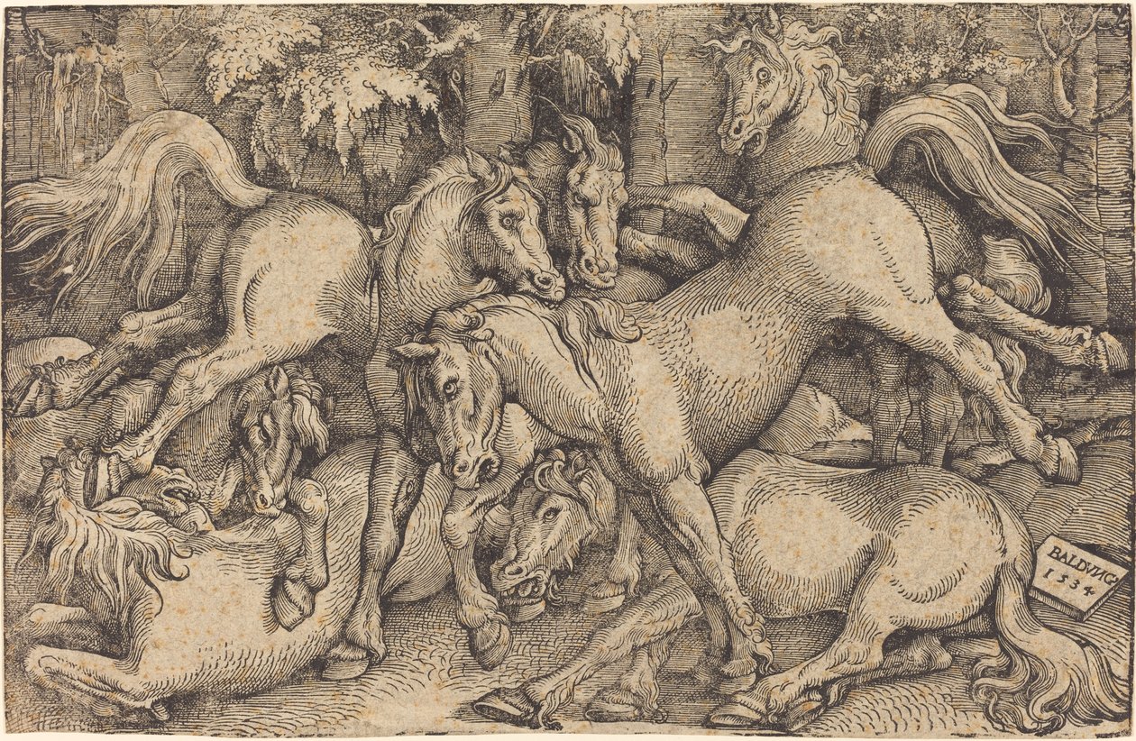 Gruppo di sette cavalli nei boschi da Hans Baldung Grien