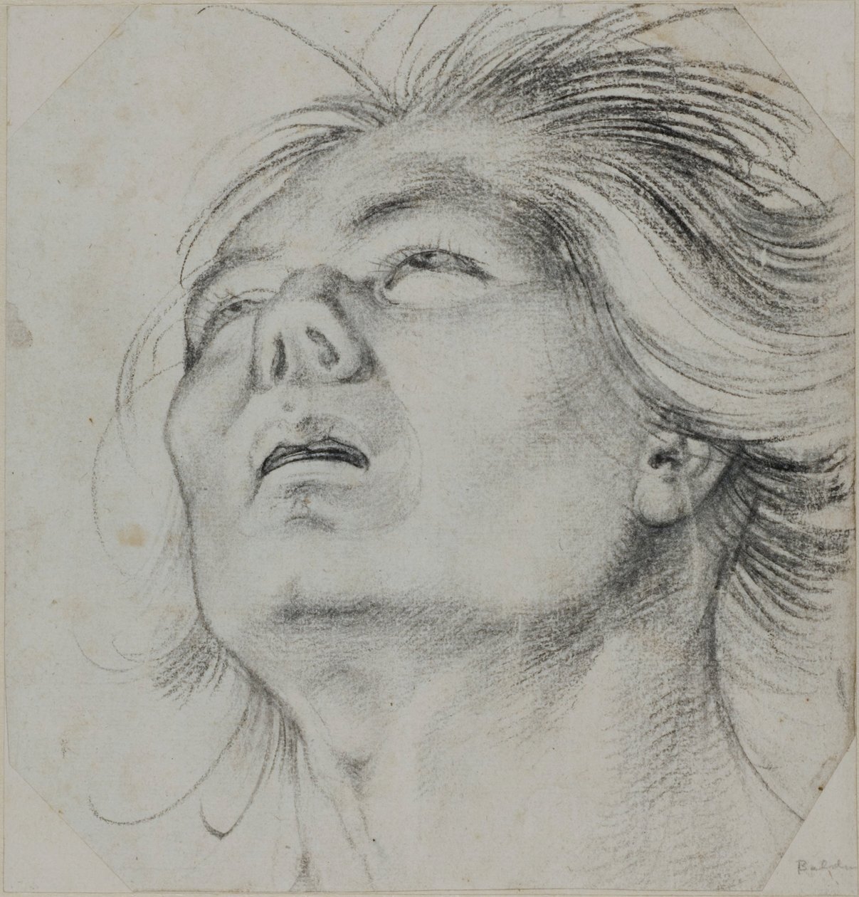 Testa di giovane uomo, vista dal basso da Hans Baldung Grien