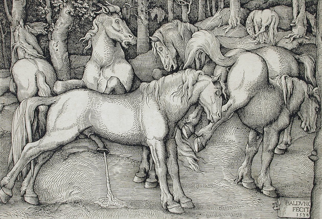 Uno stallone e una giumenta che scalcia in mezzo a un gruppo di cavalli selvatici nel bosco da Hans Baldung Grien