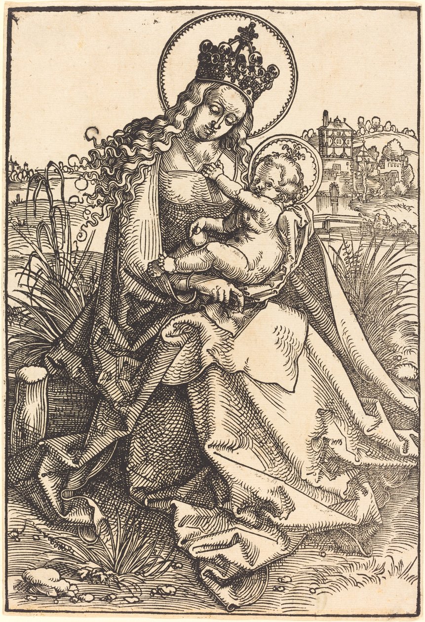 Madonna e Bambino sulla riva erbosa da Hans Baldung Grien