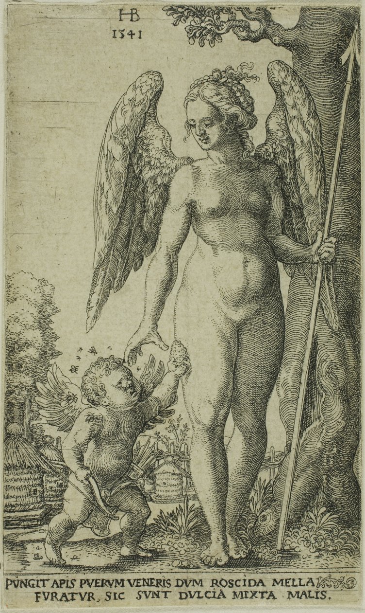 Cupido Porta un Favo di Miele a Venere da Hans Brosamer