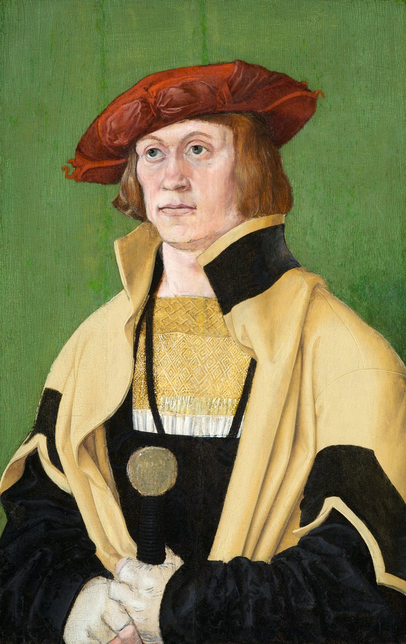 Ritratto di un uomo, circa 1520 (olio su tavola) da Hans Brosamer